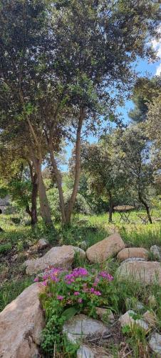 Aparthotel Les Bois De Zola Entre Provence Et Luberon Saint-Esteve-Janson Exterior foto