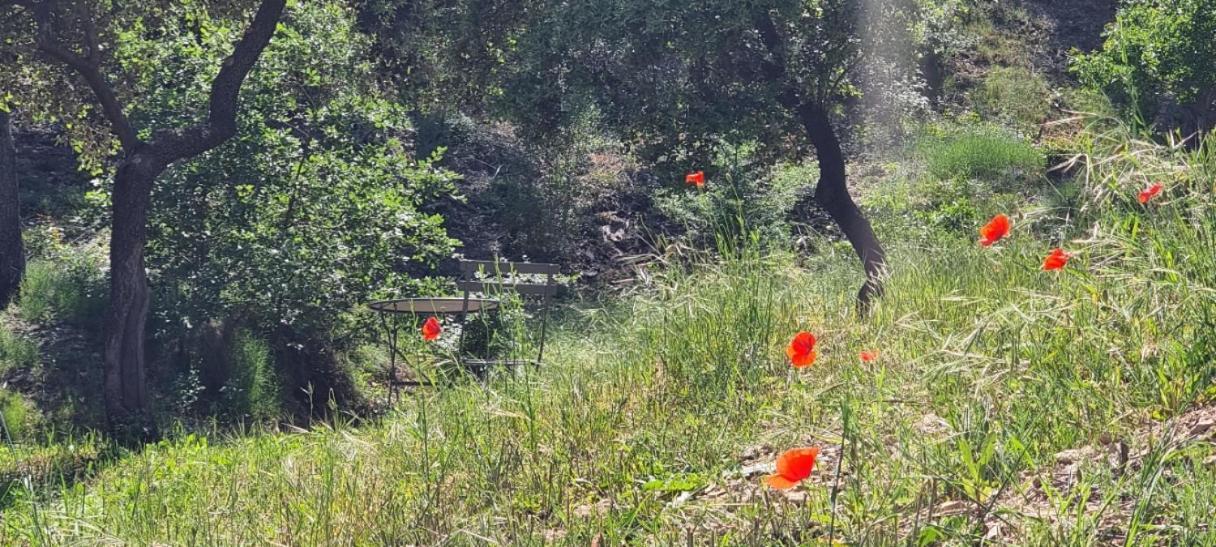 Aparthotel Les Bois De Zola Entre Provence Et Luberon Saint-Esteve-Janson Exterior foto