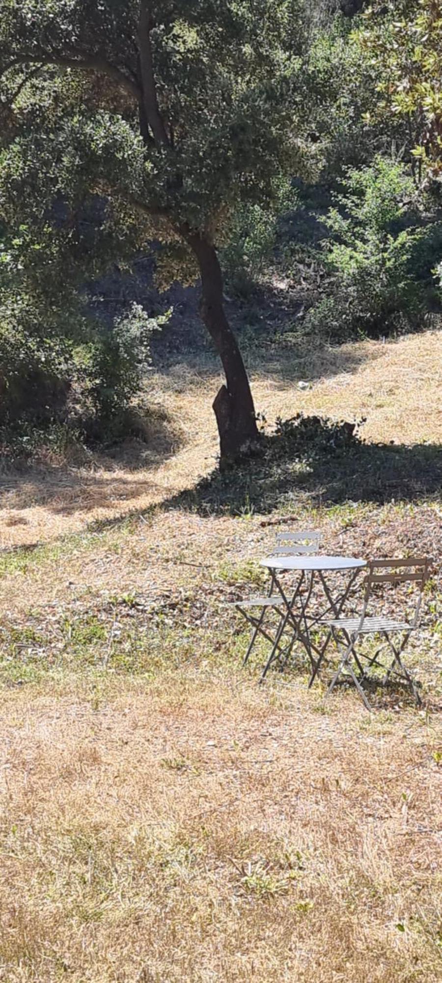 Aparthotel Les Bois De Zola Entre Provence Et Luberon Saint-Esteve-Janson Exterior foto
